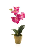 Kunstplant Phalaenopsis Mini Lila - 25cm - thumbnail