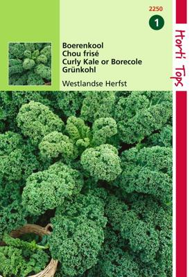 Zaden Boerenkool Westlandse Herfst laat type Hortitops - Hortitops