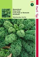 Zaden Boerenkool Westlandse Herfst laat type Hortitops - Hortitops - thumbnail