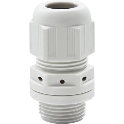 Wiska 10100666 Wartel Slagvast, Met trekontlasting, Met dichting M25 Polyamide Grijs-wit (RAL 7035) 1 stuk(s) Wiska 10100666 Wartel Slagvast, Met trekontlasting, Met dichting M25 Polyamide Grijs-wit (RAL 7035) 1 stuk(s)