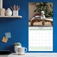 Dalmatier Kalender 2026 - thumbnail