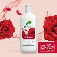 Dr Organic Rose Otto Conditioner - thumbnail