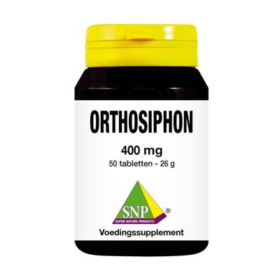 Orthosiphon Orthosiphon