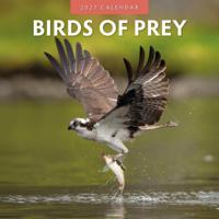 Birds Of Prey Kalender 2027 - thumbnail