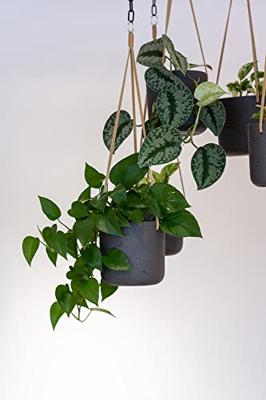 Rough Eco-line hangende bloempot M 18x18 cm Charlie zwart