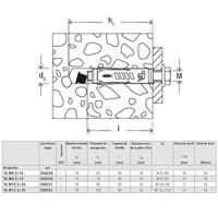 Fischer 90249 TA M6 S/10 Hulsanker 59 mm 10 mm 50 stuk(s) - thumbnail