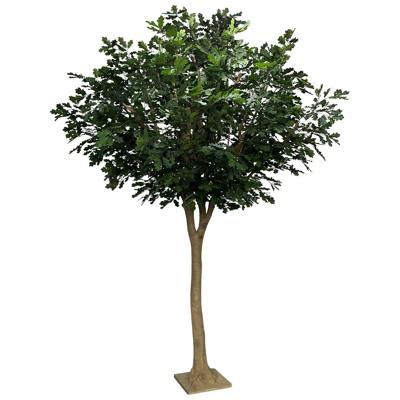 Kunst Eikenboom Deluxe XXl 375cm op stam