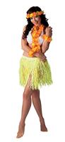 Tropische Hawaii set 4-delig - thumbnail