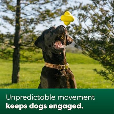 EARTH RATED FETCH TOY RUBBER - thumbnail