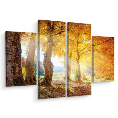 Schilderij - Zonnig herfst bos, print op canvas, 4 luik, premium print