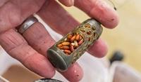 Preston Absolute Window Feeder Caged Large 75 gr - thumbnail
