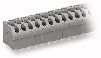 WAGO 250-504 Veerkrachtklemblok 1.00 mm² Aantal polen 4 Grijs 1 stuk(s)