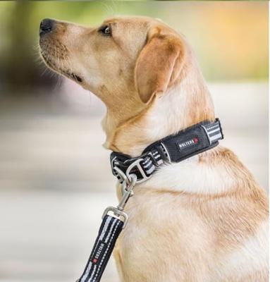 WOLTERS Hondenhalsband Active Pro, zwart, Maat: 3