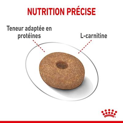 Royal Canin CCN MINI LIGHT WEIGHT CARE - droogvoer voor volwassen honden - 3kg - thumbnail