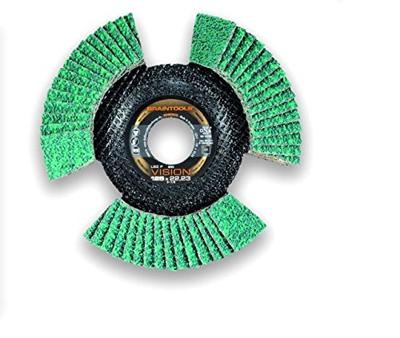 Rhodius 207078 LSZ F VISION Lamellenschijf Diameter 125 mm 1 stuk(s)