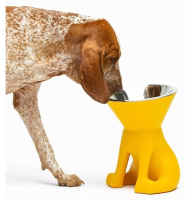 Voerbak voor honden United Pets Elisabeth Yellow Roestvrij staal Polyethyleen 1 L