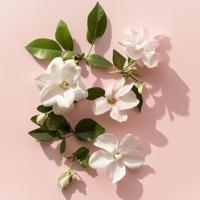 Elie Saab Le Parfum Essentiel Eau de parfum Spray Eau de Toilette 50 ml Dames - thumbnail