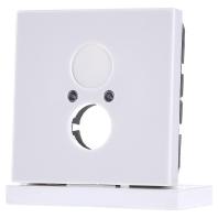 Jung centraalplaat met draagframe voor audio wit LS962WW