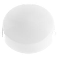 RZB 10120.002 DKN-Classic, seidenglanz Plafondlamp E27 60 W Wit