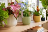 Elho Bloempot Vibes Fold Sorbet Groen Ø14cm - thumbnail