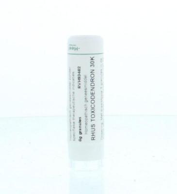 Homeoden Heel Rhus toxicodendron 30K 6 Gram