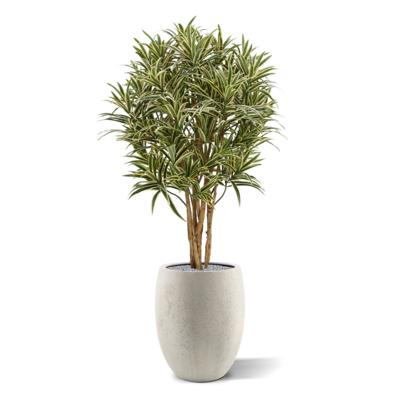 Draceana Reflexa kunstplant 100cm