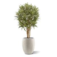 Draceana Reflexa kunstplant 100cm - thumbnail