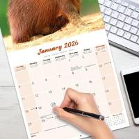 Capybara Kalender 2026 - thumbnail