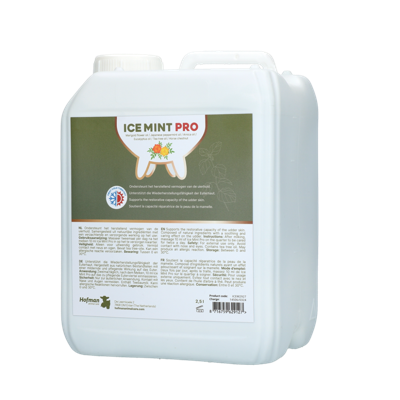 Ice Mint Pro Gel 2,5 l incl. dosator