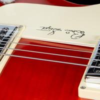 Perzisch IJzerhout struikvorm - thumbnail