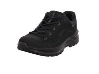 Lowa Renegade Evo GTX Low Breed Wandelschoenen Heren 47 - thumbnail