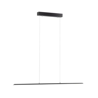 Paul Neuhaus Design hanglampPure Lite 100cm antraciet - 8375-13