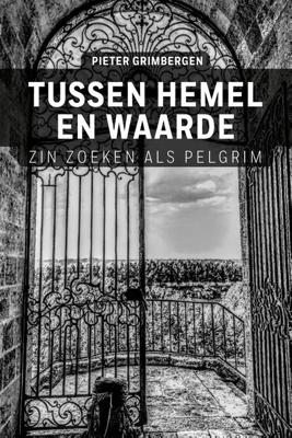 Tussen hemel en waarde - Pieter Grimbergen - ebook