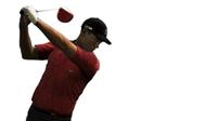 Tiger Woods PGA Tour 2014 - thumbnail