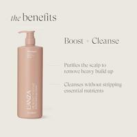 Shampoo L'ANZA Healing Volume - thumbnail