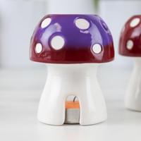 Warmtegevoelige paddenstoel geurbrander - thumbnail