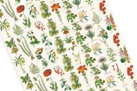 Flora (Paperback) - thumbnail