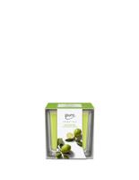 IPuro geurkaars lime light 125gr. - thumbnail
