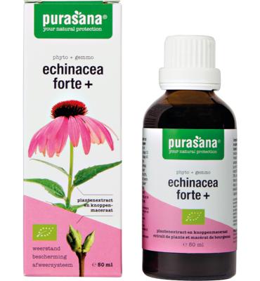 Purasana Echinacea Forte+ Druppels