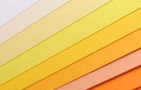 Fiches Iris Crème - thumbnail