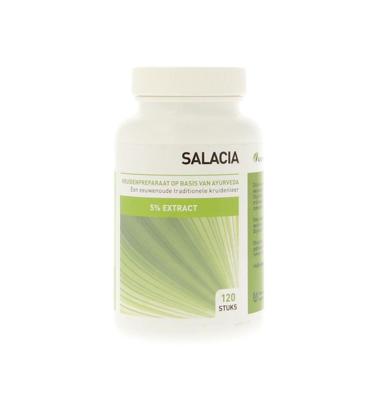 Salacia oblonga 5% saponinen extract
