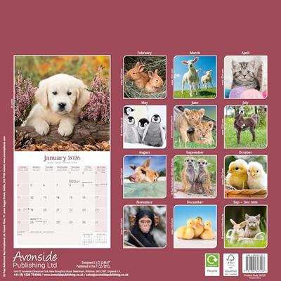 Baby Animals Calendar 2026 Square Animal Wall Calendar - 16 Month