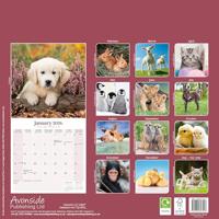 Baby Animals Kalender 2026 - thumbnail