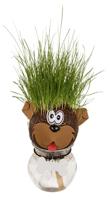 Dieren graskop in glazen vaasje 12,5cm - thumbnail