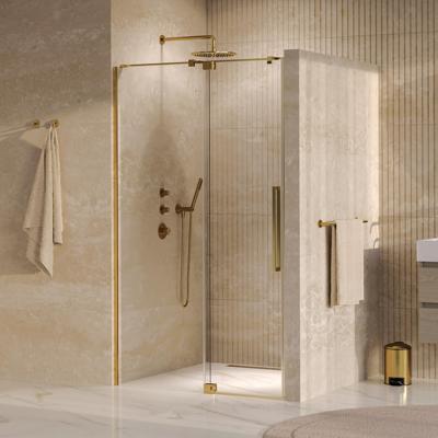 BRAUER Stellar nisdeur 2-delig draaiend helder glas 100x200 omkeerbaar incl. glascoating PVD goud geborsteld BRAUER Stellar nisdeur 2-delig draaiend helder glas 100x200 omkeerbaar incl. glascoating PVD goud geborsteld