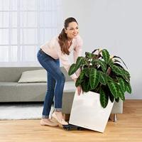 LECHUZA Cube Premium 50 bloempot - complete set, glanzend taupe - thumbnail