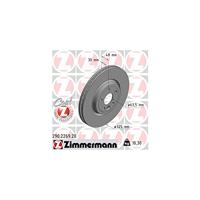 Remschijf Coat Z 290226920 - thumbnail