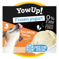 YowUp! Frozen Yoghurt Salmon Tartar - thumbnail