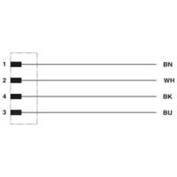 Phoenix Contact 1415590 Sensor/actuator aansluitkabel M12 Aantal polen (sensoren): 4 Bus 10.00 m 1 stuk(s) - thumbnail