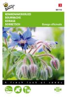 Borage, Komkommerkruid - thumbnail